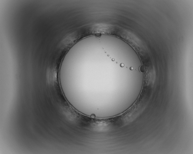 X0000116630310200912111222