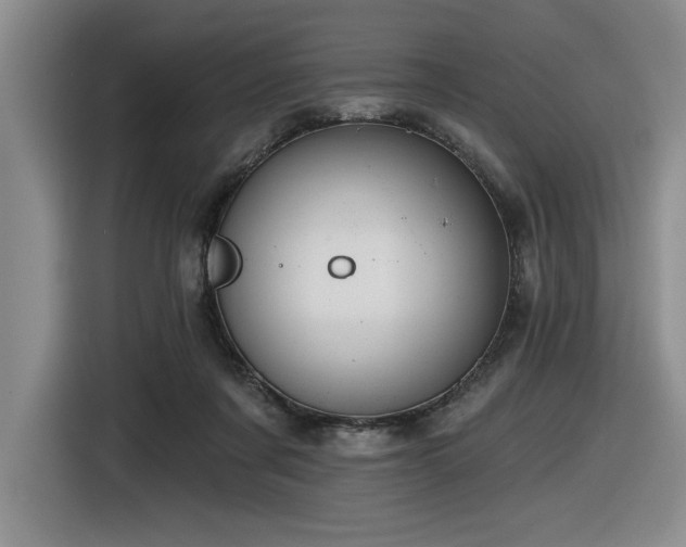 X0000116630311200912111222