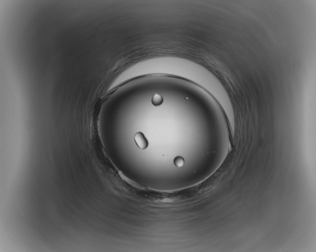 X0000116630312200912111222