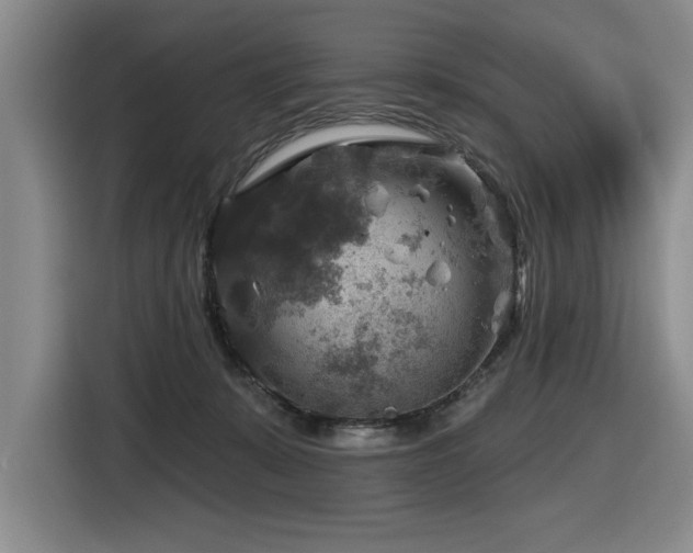 X0000116630319200912111222