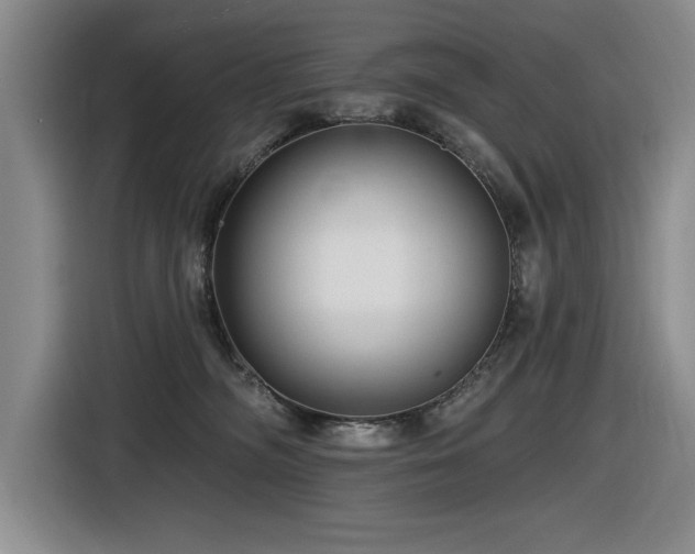 X0000116630326200912111222