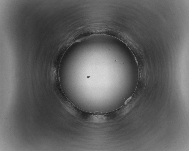 X0000116630327200912111222