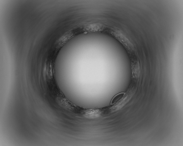 X0000116630334200912111222