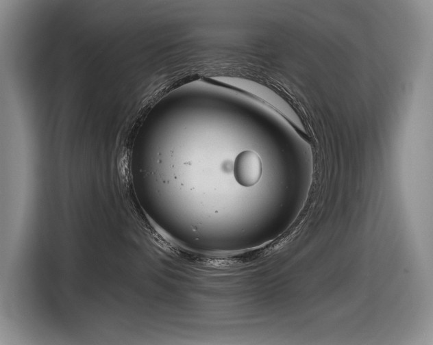 X0000116630336200912111222