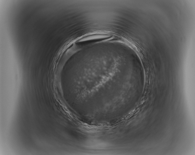 X0000116630337200912111221