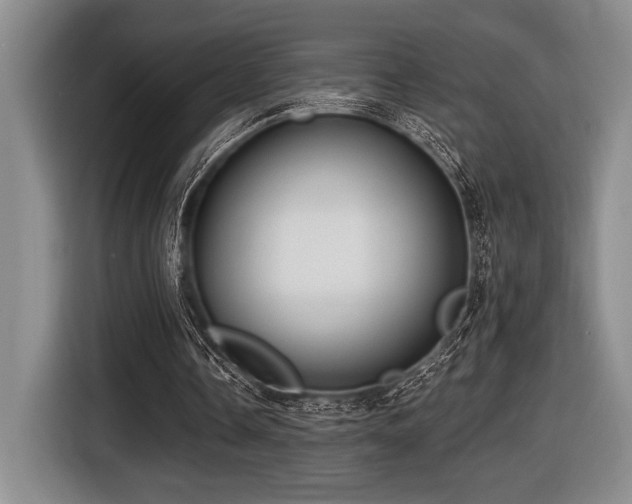 X0000116630338200912111221