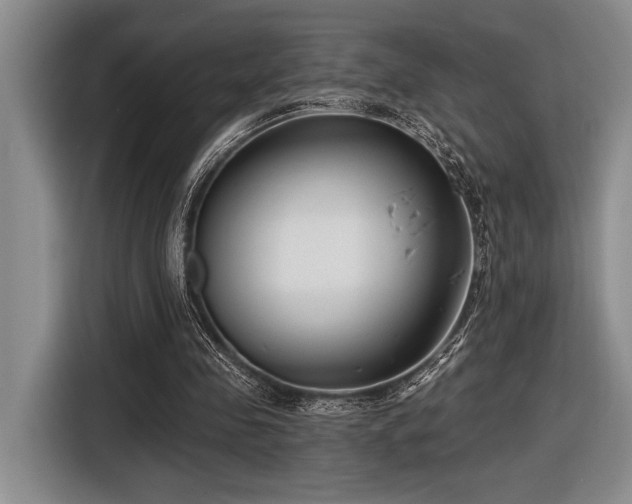 X0000116630341200912111221