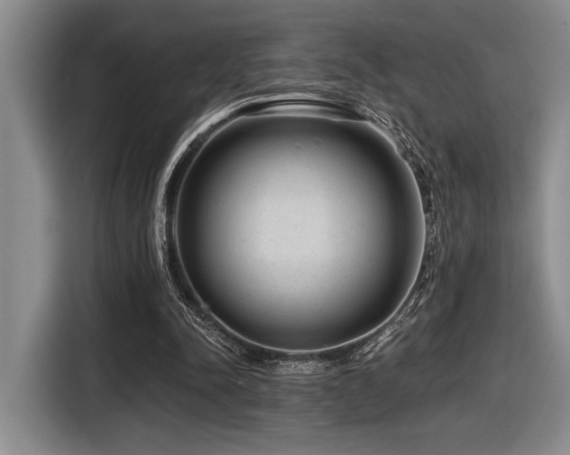 X0000116630342200912111221