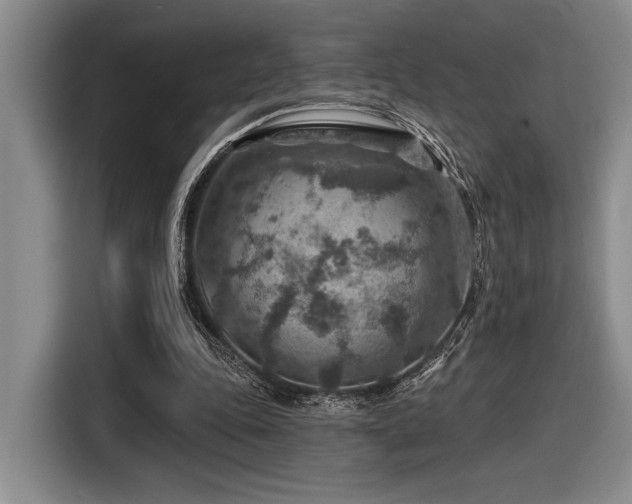 X0000116630343200912111221