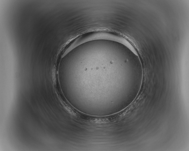 X0000116630345200912111221