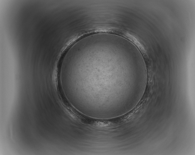 X0000116630346200912111221