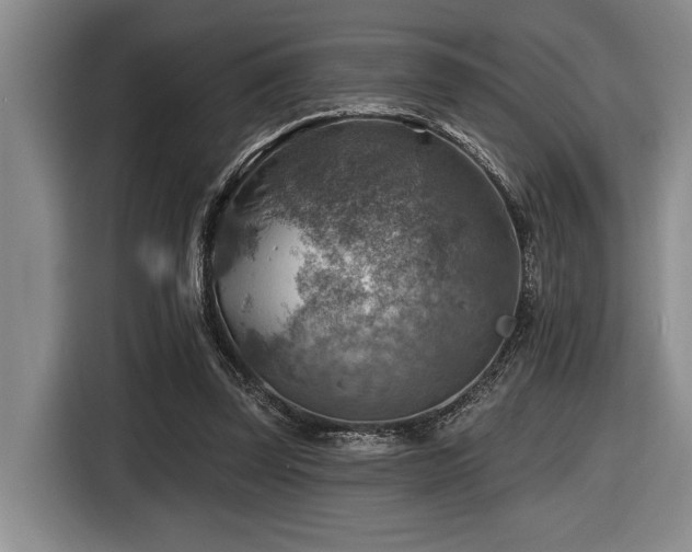 X0000116630347200912111221