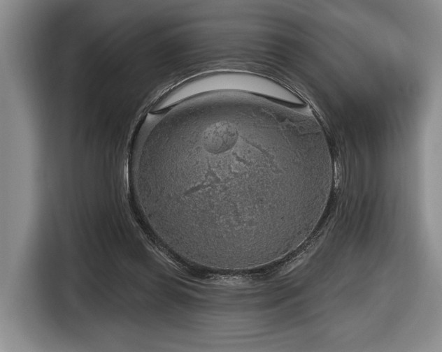 X0000116630349200912111221