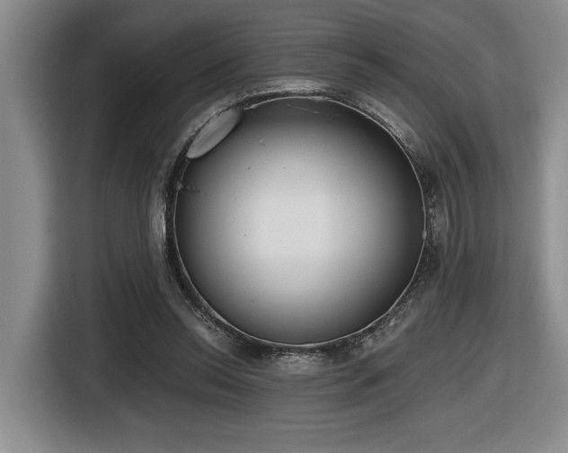 X0000116630350200912111221