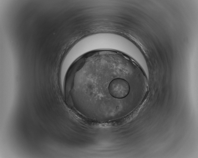 X0000116630353200912111221