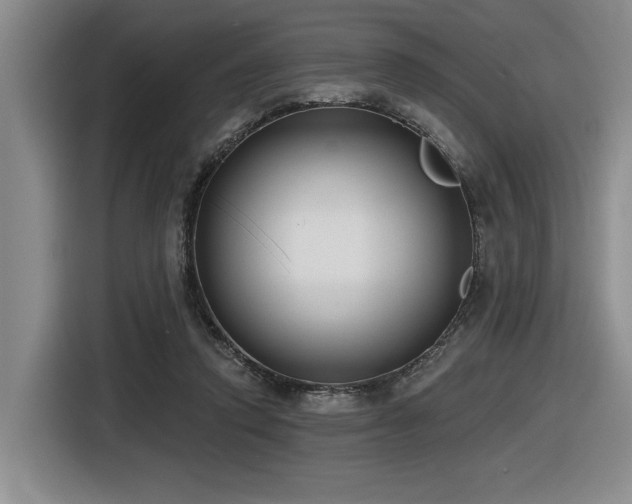 X0000116630354200912111221