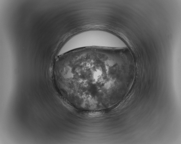 X0000116630357200912111221