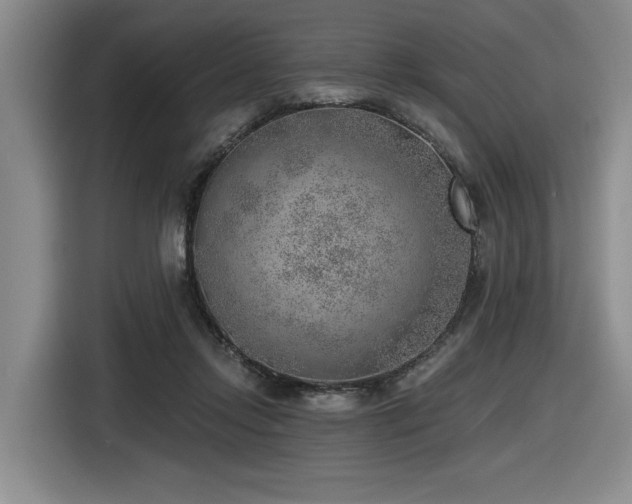 X0000116630358200912111221