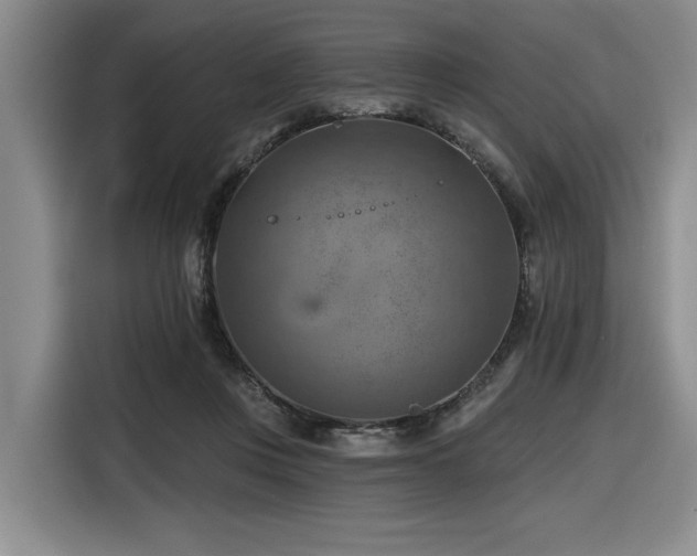 X0000116630359200912111221