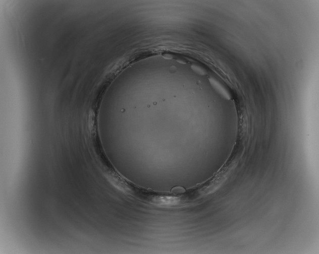 X0000116630361200912111221