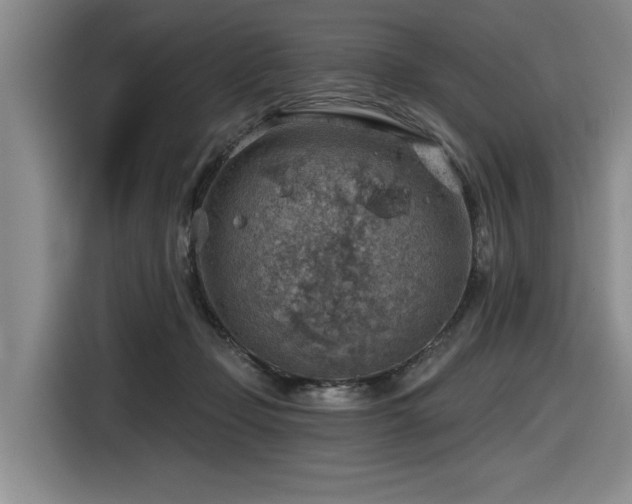 X0000116630365200912111221