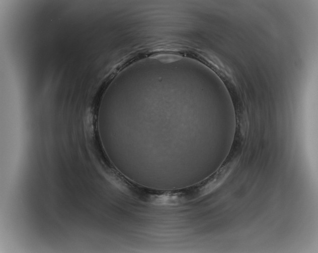 X0000116630366200912111221