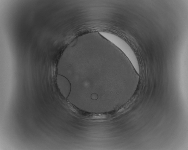 X0000116630369200912111221