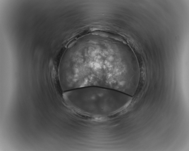 X0000116630371200912111221