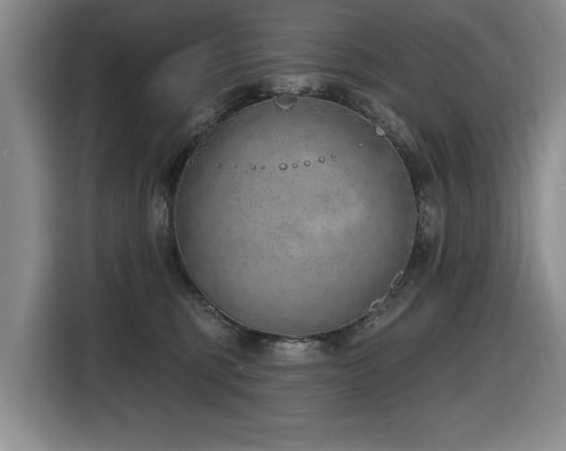 X0000116630375200912111222