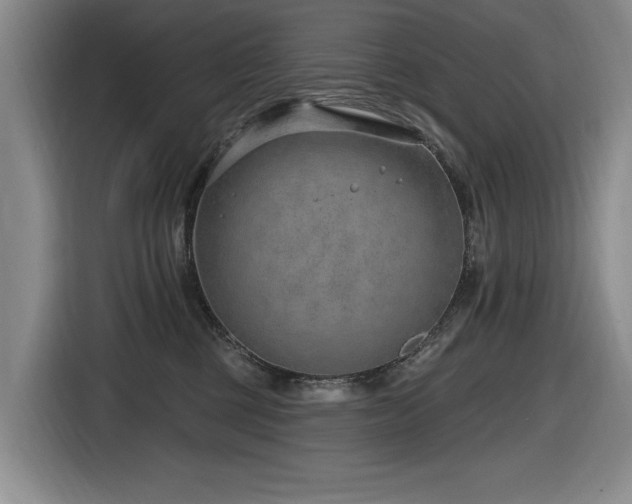 X0000116630377200912111222