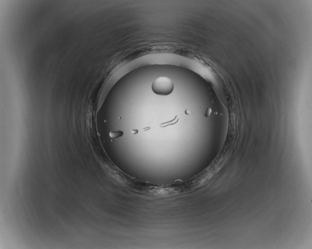 X0000116630379200912111222