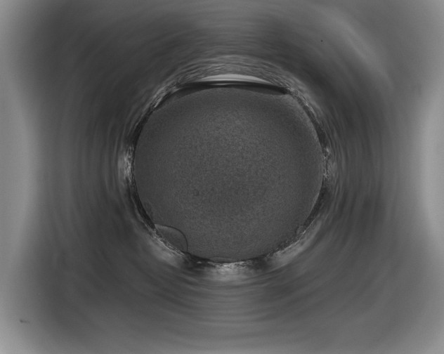 X0000116630382200912111222