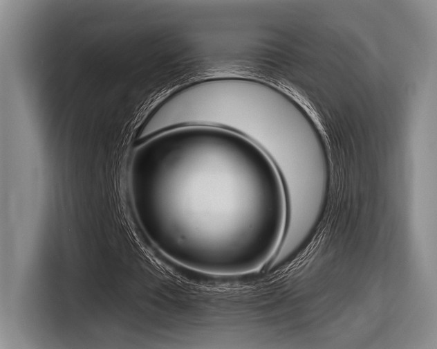 X0000116630385200912111221