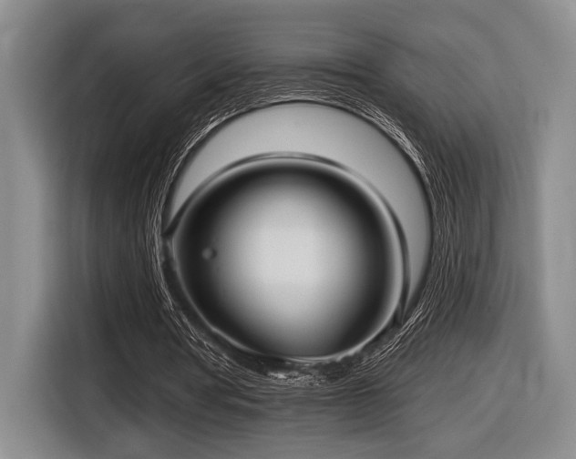 X0000116630386200912111221