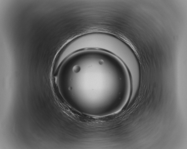 X0000116630387200912111221