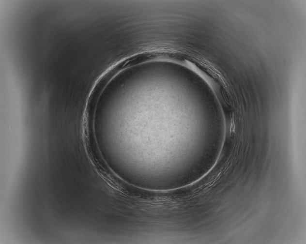 X0000116630388200912111221