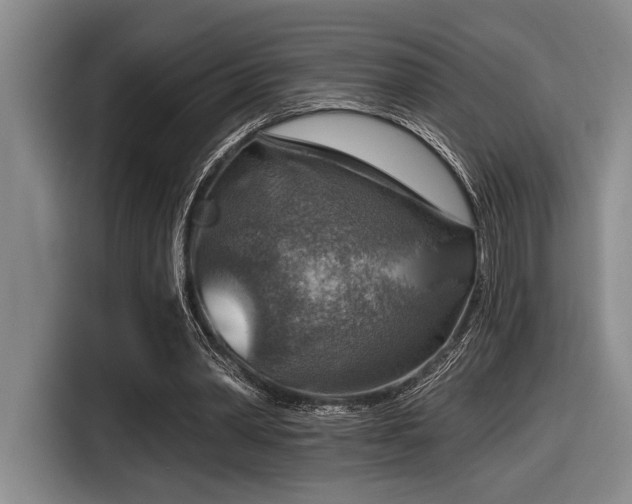 X0000116630390200912111221