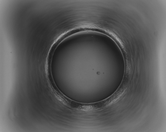 X0000116630391200912111221