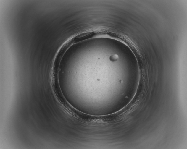 X0000116630392200912111221