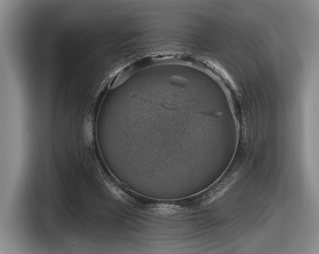 X0000116630393200912111221