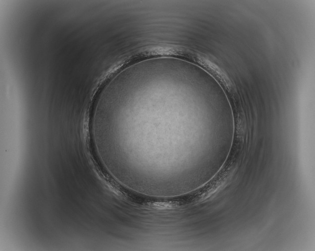 X0000116630394200912111221