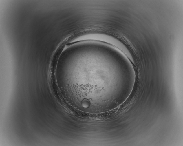 X0000116630396200912111221