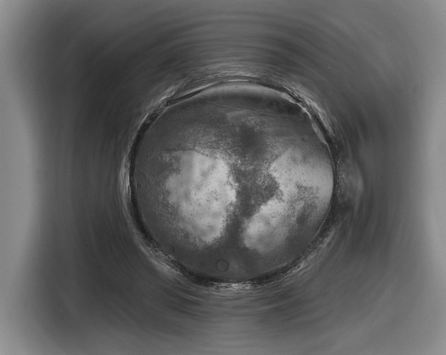 X0000116630398200912111221