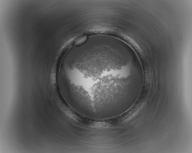 X0000116630399200912111221