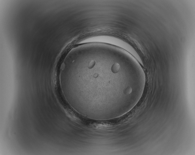 X0000116630400200912111221