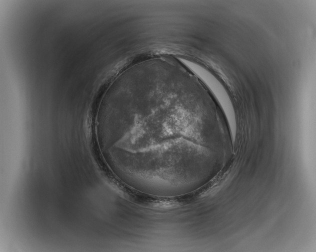 X0000116630402200912111221