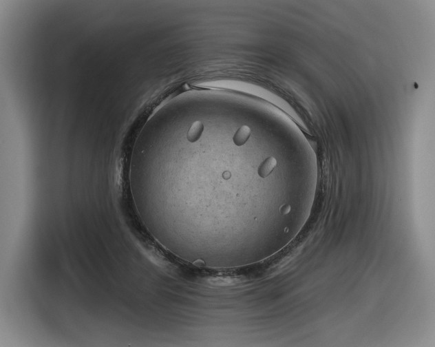 X0000116630404200912111221