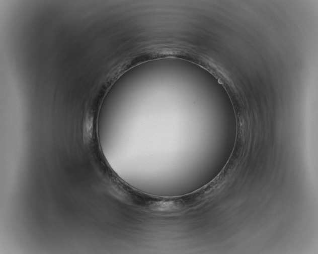 X0000116630406200912111221