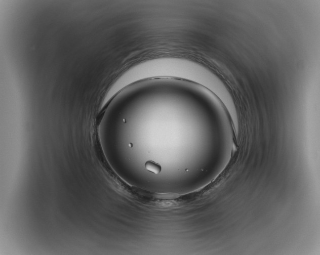 X0000116630409200912111221