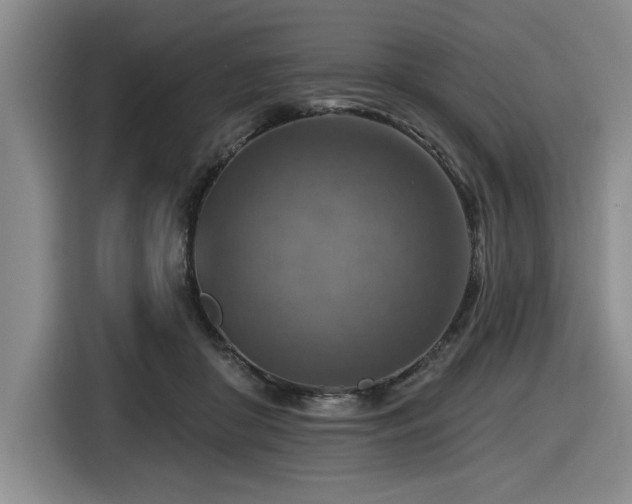 X0000116630410200912111221